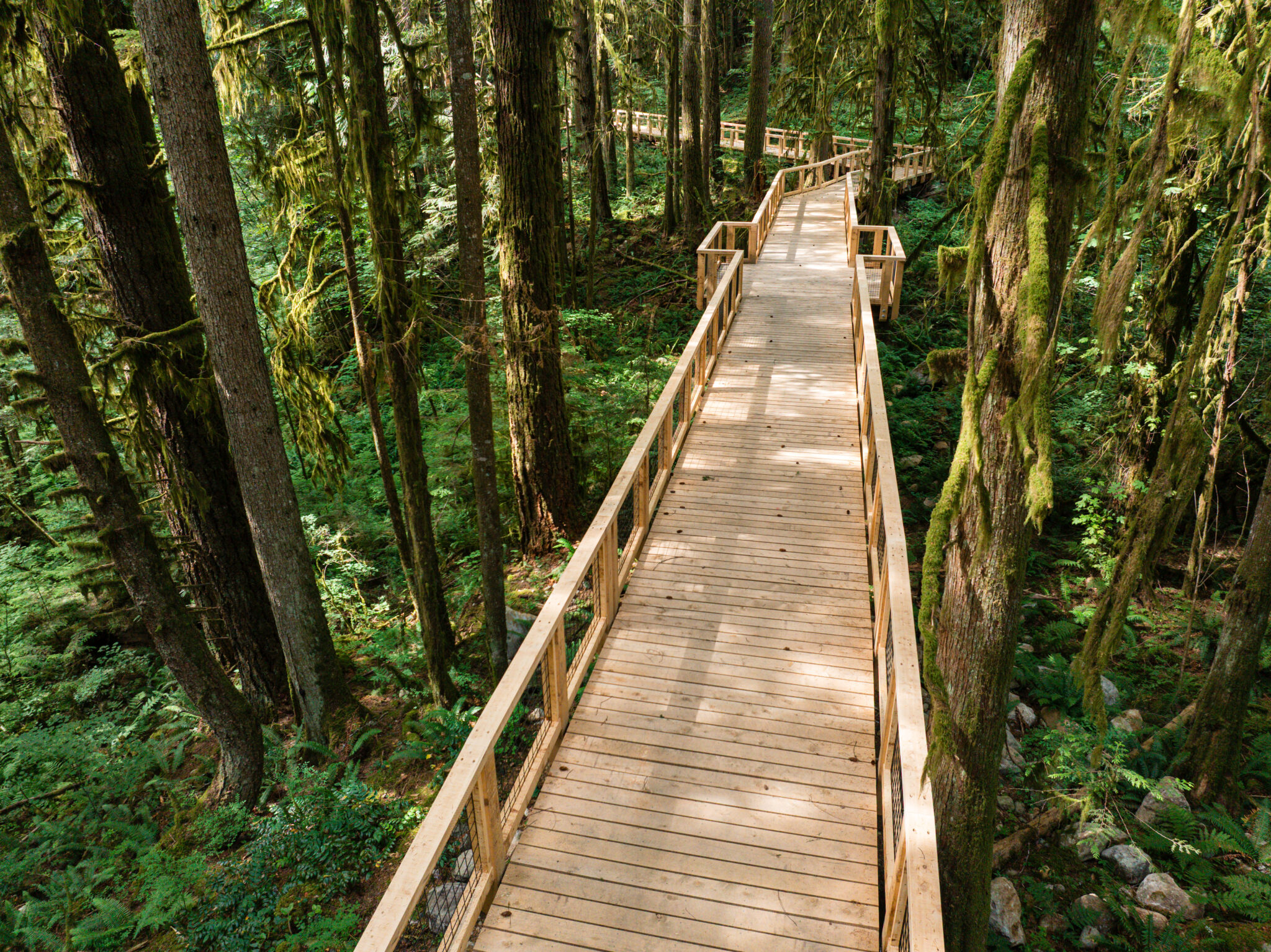 Squamish Canyon