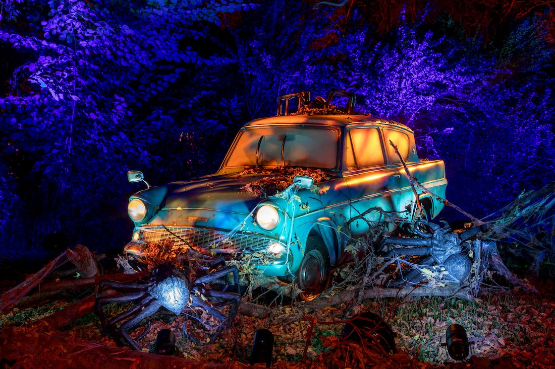 harry potter forbidden forest experience 