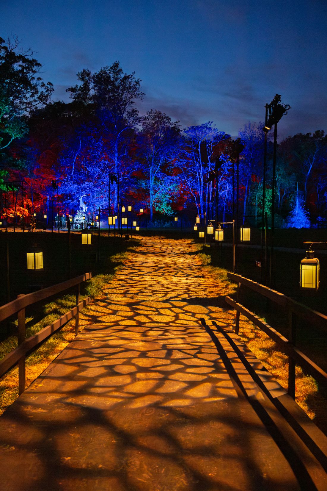 harry potter forbidden forest experience 
