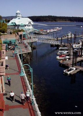 ��һ�¹ۿ�����ͼƬ
 ============== 
Nanaimo��ͷ
8�������¸绪��Nanaimo
�ؼ���: ����  8�� �¸绪��   Nanaimo