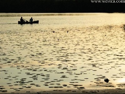 ��һ�¹ۿ�����ͼƬ
 ============== 
������
���»ƻ�����¹��
�ؼ���: ����  �ƻ�  ¹��