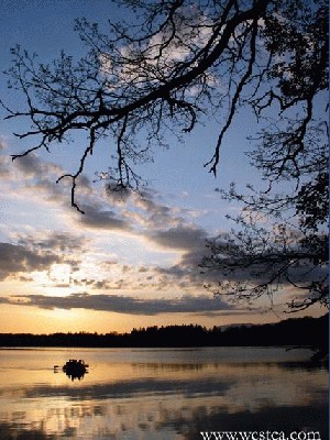 ��һ�¹ۿ�����ͼƬ
 ============== 
��
���»ƻ�����¹��
�ؼ���: ����  �ƻ�  ¹��