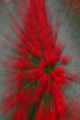 һ^DƬ
 ============== 
