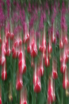һ^DƬ
 ============== 
