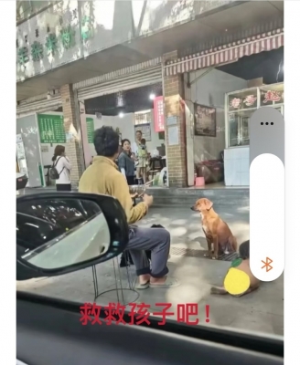 ��һ�¹ۿ�����ͼƬ
 ============== 
