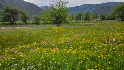 ��һ�¹ۿ�����ͼƬ
 ============== 
