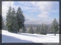 BBY Mt Snow 1.jpg
