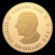 5141554151415577.jpg