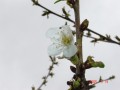 DSC02949a.jpg