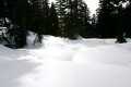 bagua4.jpg