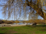 536f4b57.jpg