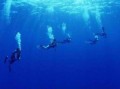 15250511[1].jpeg