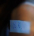 dsc_2543_Ӱ_1.jpg