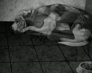 4b464667.gif
