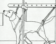 5a4e70702.gif