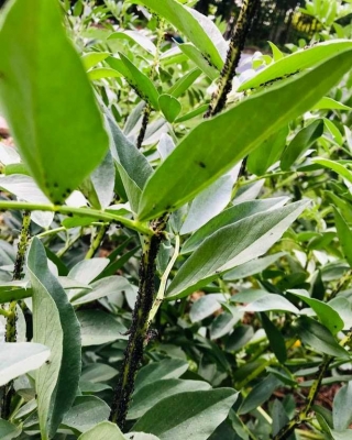 ��һ���^�������DƬ
 ============== 
