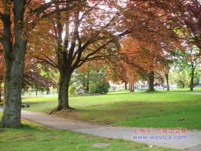 ��һ���^�������DƬ
 ============== 
