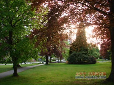 ��һ���^�������DƬ
 ============== 
