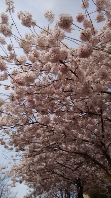 һ^DƬ
 ============== 
