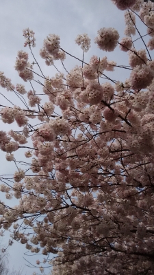 һ^DƬ
 ============== 
