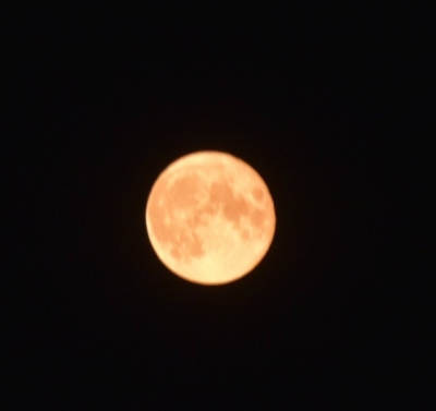 ��һ�¹ۿ�����ͼƬ
 ============== 
