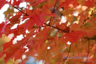 ��һ�¹ۿ�����ͼƬ
 ============== 
