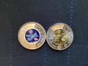 6d587176.jpg