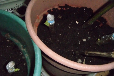 һ¹ۿͼƬ
 ============== 
