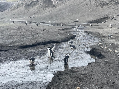 ��һ���^�������DƬ
 ============== 
