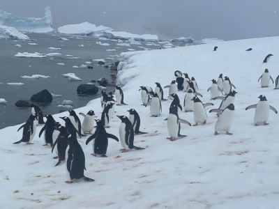 ��һ���^�������DƬ
 ============== 
