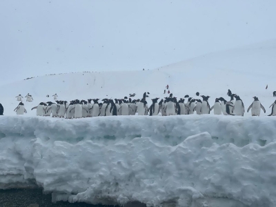 ��һ���^�������DƬ
 ============== 
