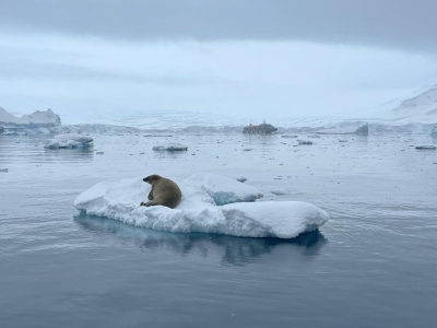 ��һ���^�������DƬ
 ============== 
