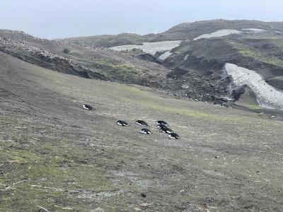 ��һ���^�������DƬ
 ============== 
