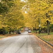 756f5545.jpg