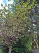 2f735056.jpg