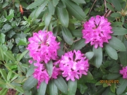 326d7967.jpg