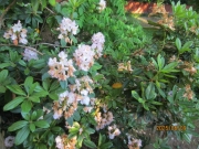 484d7054.jpg
