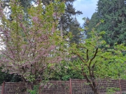 4c715441.jpg