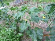 594d5855.jpg