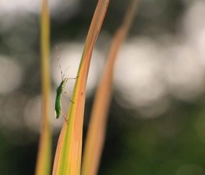 һ¹ۿͼƬ
 ============== 
