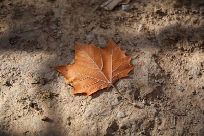 һ¹ۿͼƬ
 ============== 
