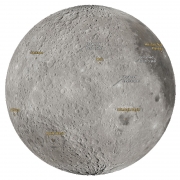 61413061.jpg