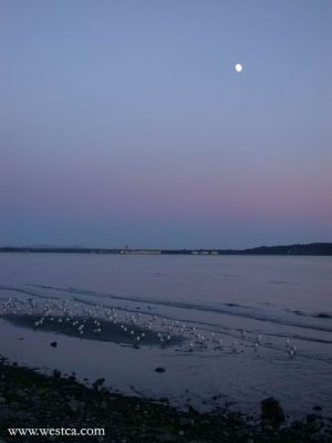 ��һ�¹ۿ�����ͼƬ
 ============== 
���¾�פ
7������White Rock  ��ʯ��
�ؼ���: ��̲  7��  White Rock  ��ʯ��